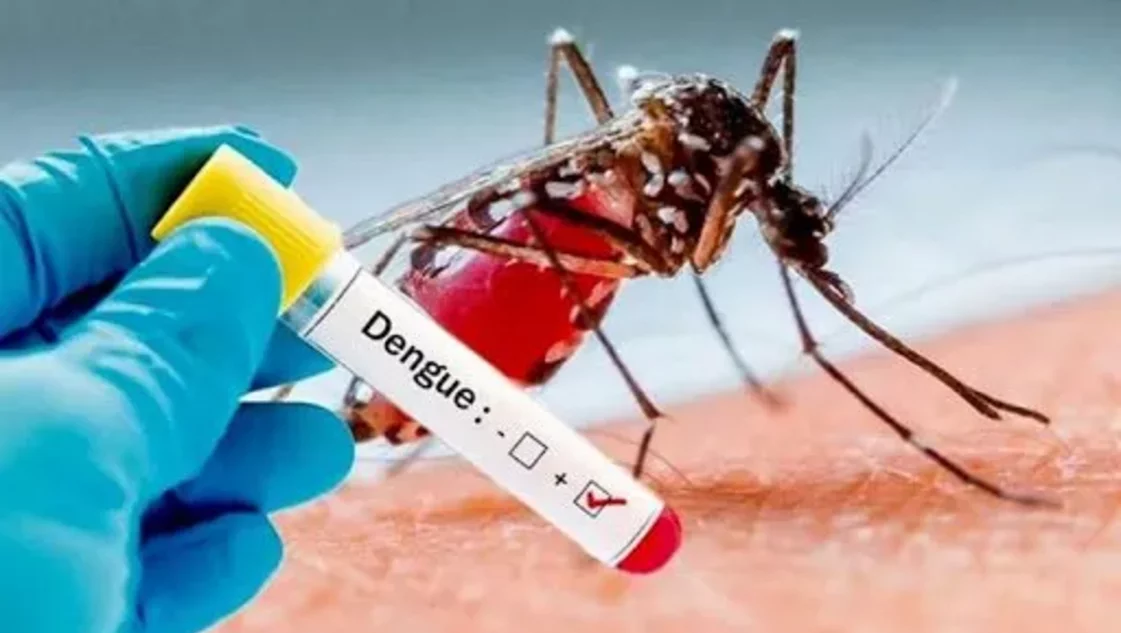 La Pampa registra 300 casos de dengue
