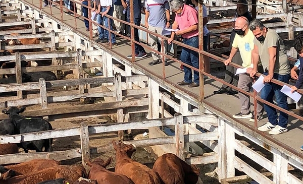 Los remates en La Pampa mueven $ 10 mil millones