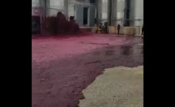 Reventó Un Tanque En Una Bodega Y Se Perdieron Miles De Litros De Vino 7489