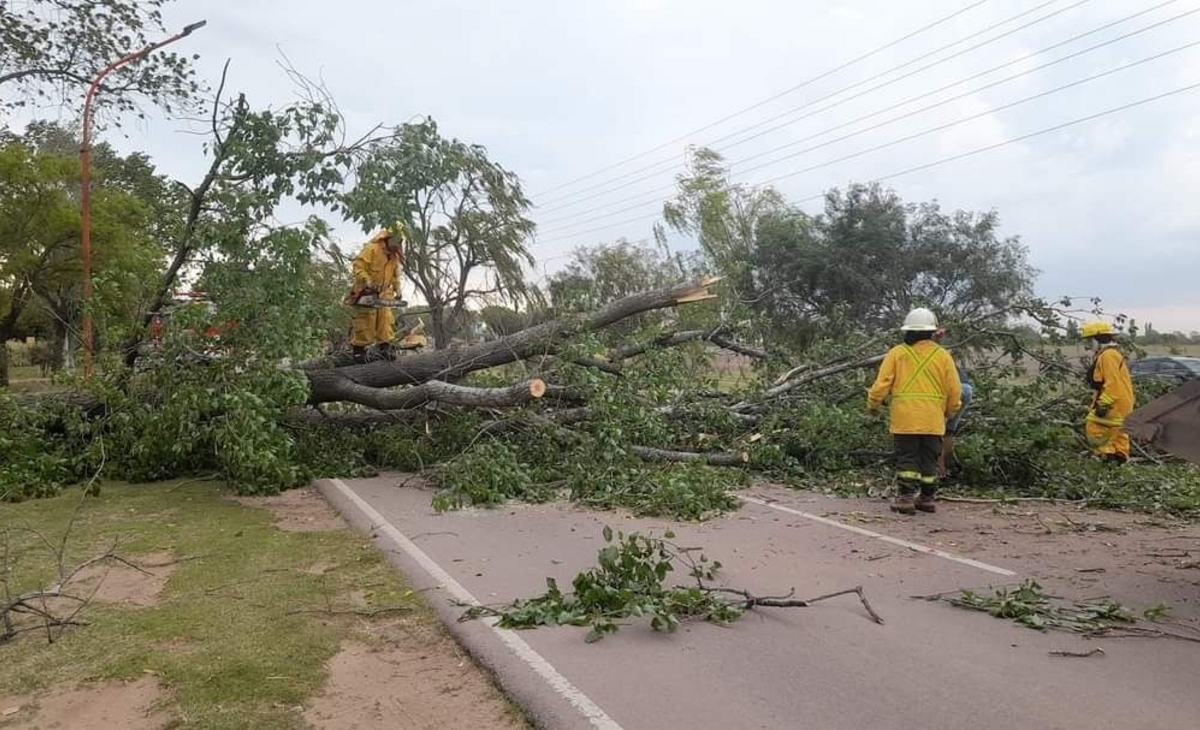 Fuerte tormenta de viento en Parera provocó voladura de techos y árboles